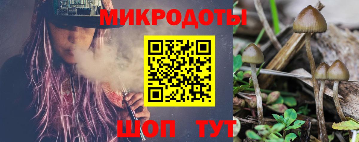 Саранск  Псилоцибиновые грибы Psilocybe  купить наркоту  Вход с VPN 