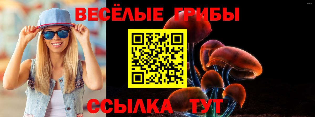 Галлюциногенные грибы GOLDEN TEACHER Саранск